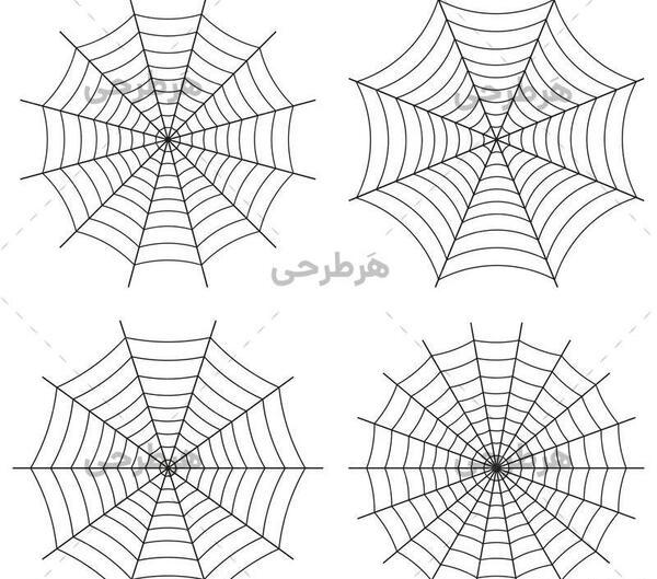 عکس تار عنکبوت صورتی