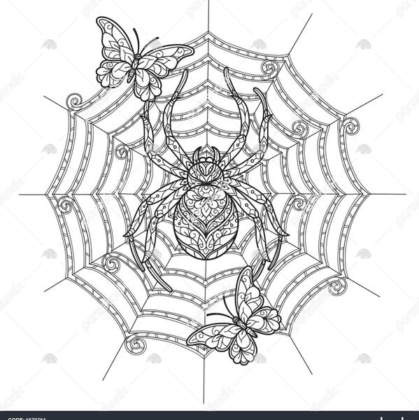عکس عنکبوت نقاشی شده