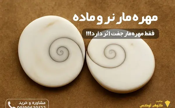 عکس مهره مار تقلبی
