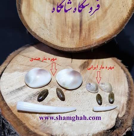 عکس مهره مار تقلبی