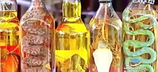 عکس مار تو شیشه الکل