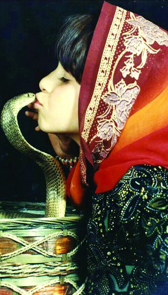 عکس مار کبرای خارجی