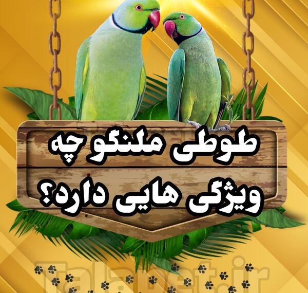 عکس طوطی های هندوستان