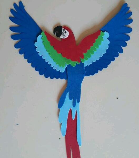 عکس طوطی برای کاردستی