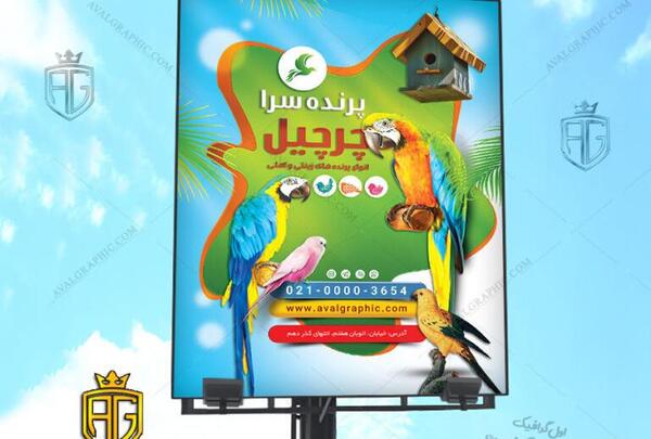 عکس مغازه طوطی فروشی
