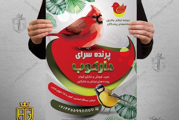 عکس مغازه طوطی فروشی