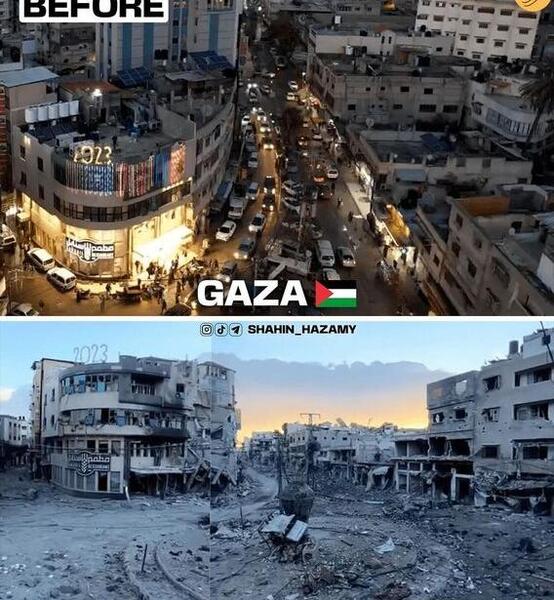 عکس فلسطین و غزه