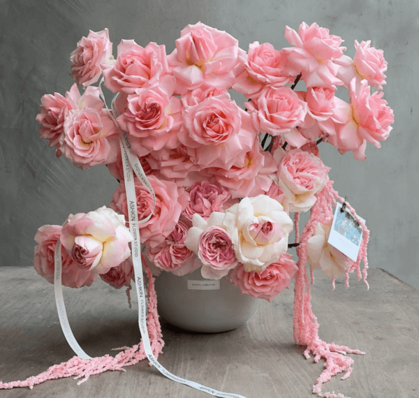 عکس فرشته گل رز