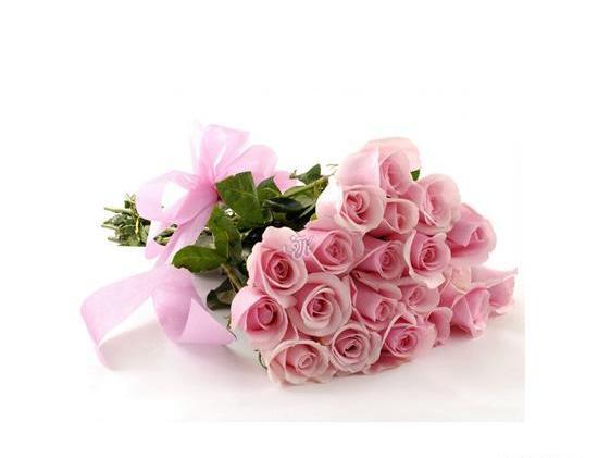 عکس فرشته گل رز