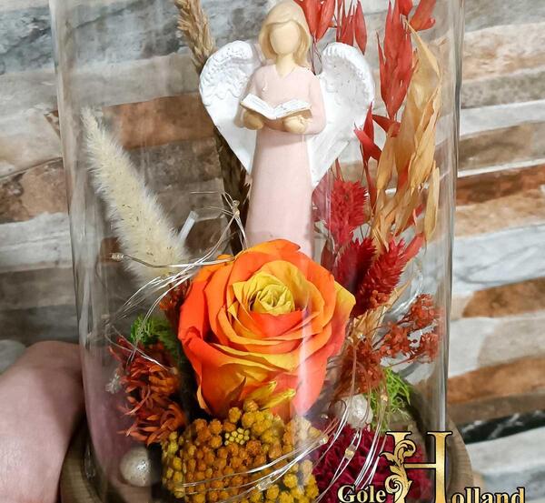عکس فرشته گل رز