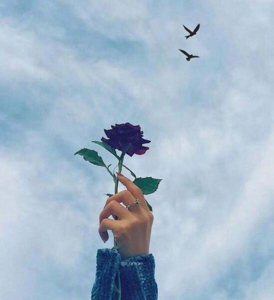 عکس دخترانه پروفایل گل