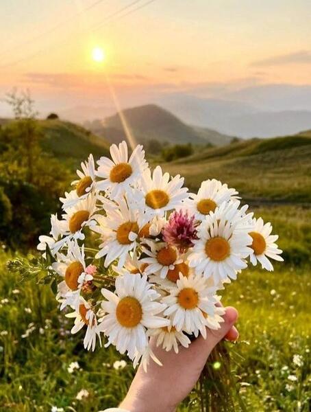 عکس دخترانه با گل برای پروفایل