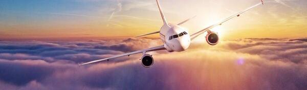 عکس بلیط هواپیما علی بابا