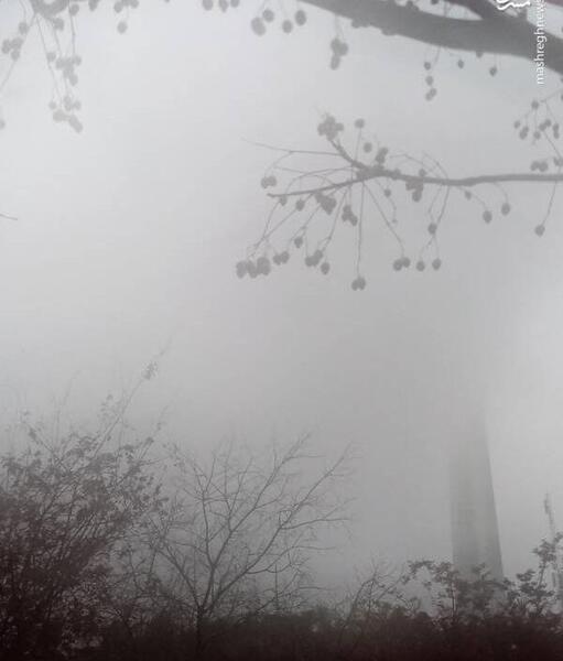عکس برج میلاد چوبی