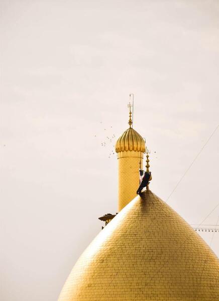 عکسی حرم امام رضا
