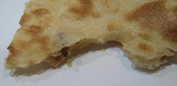 عکس مارمولک در نان سنگک ایلام