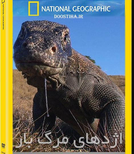 عکس بزرگترین مارمولک توی جهان