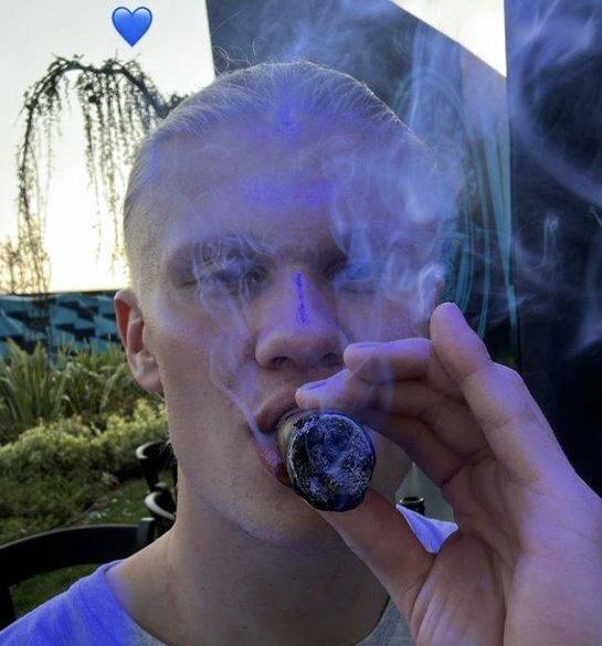 عکس هالند برای پس زمینه