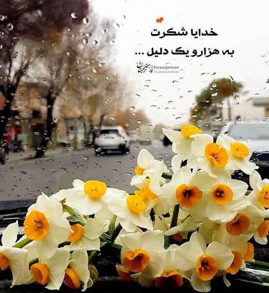 عکس نوشته خدایا شکرت برای بک گراند گوشی