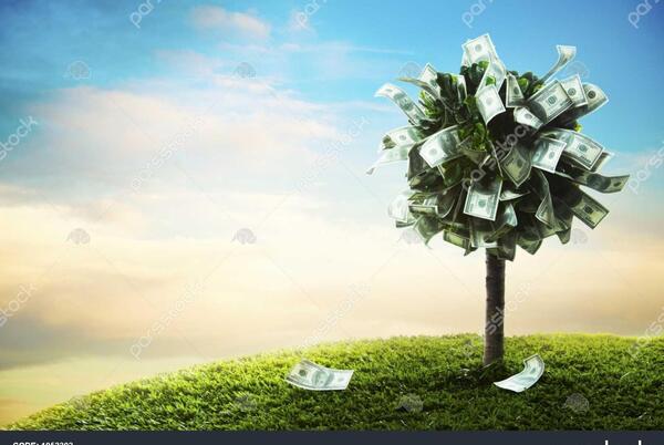عکس دلار با پرده سبز