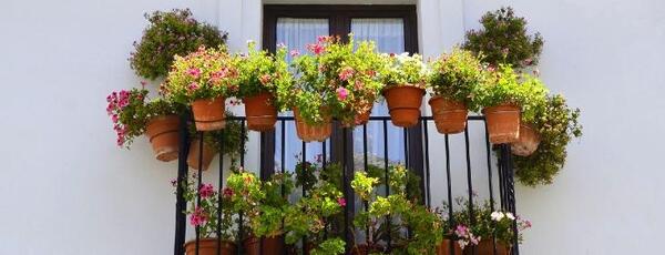 عکس ایده برای دیزاین بالکن