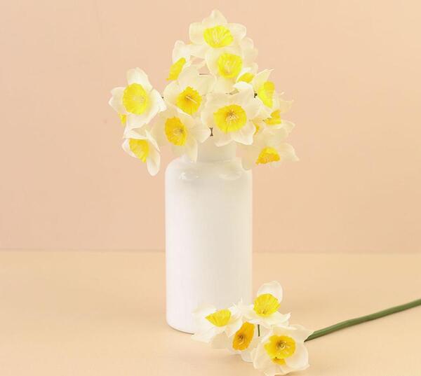ایده عکس از گل نرگس