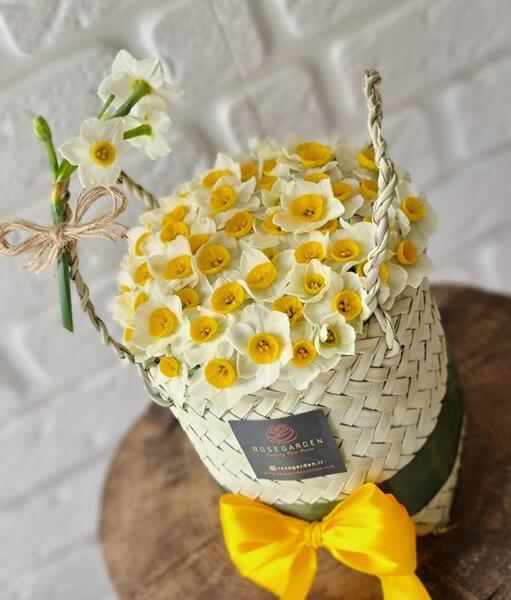 ایده عکس از گل نرگس