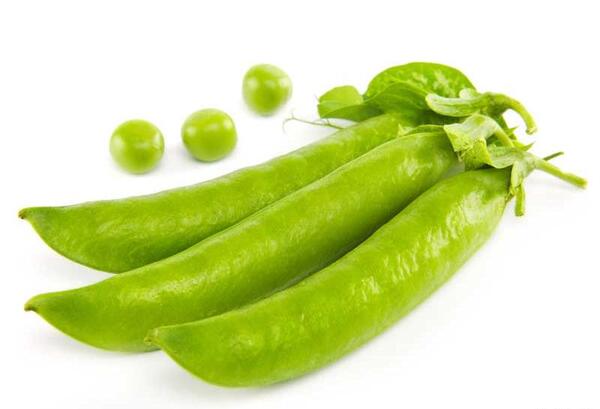 عکس نخود سبز کارتونی