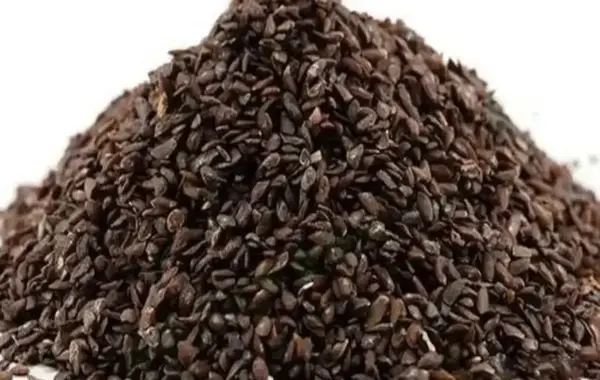عکس بارهنگ