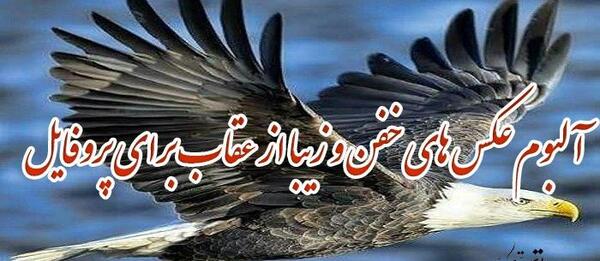 عکس پروفایل پسرانه شاهین