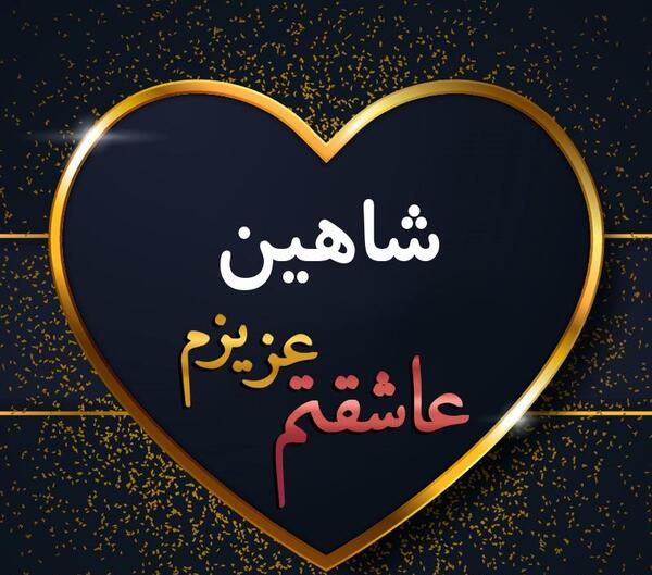 عکس پروفایل پسرانه شاهین