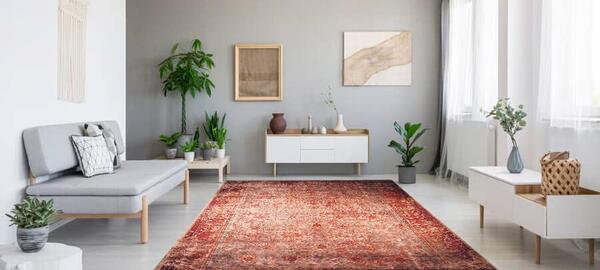 عکس مبل طوسی زرشکی