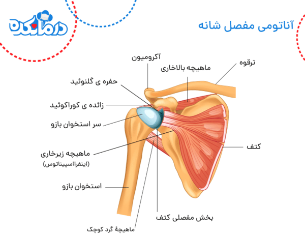عکس کمربند شانه ای