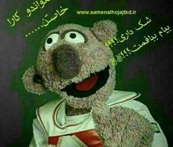 عکس کمربند پوم ۲ تکواندو