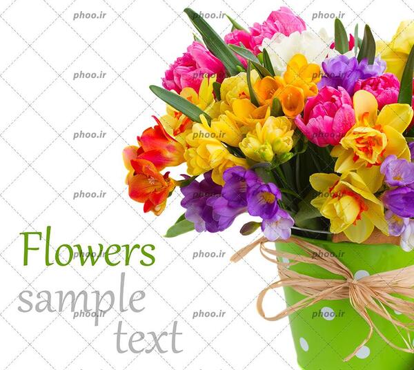 عکس دسته گل پاپیونی