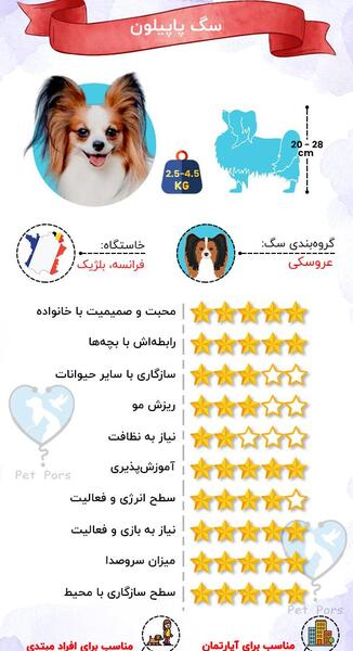 عکس سگ نژاد پاپیلون
