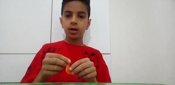 عکس گردنبند معجزه گر روباه