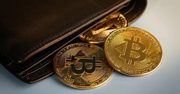 عکس کیف پول دیجیتالی