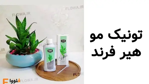 عکس تونیک مو هیر فرند
