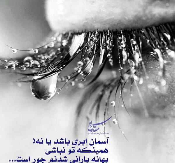 عکس گالری باران