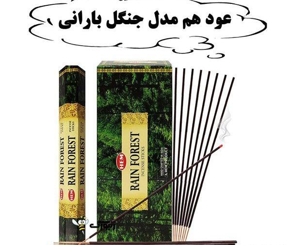 عکس عود جنگل بارانی