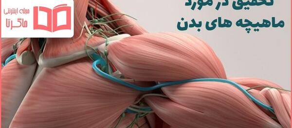 عکس بافت های بدن انسان