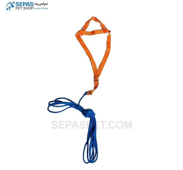 عکس عروس هلندی با جلیقه پرواز