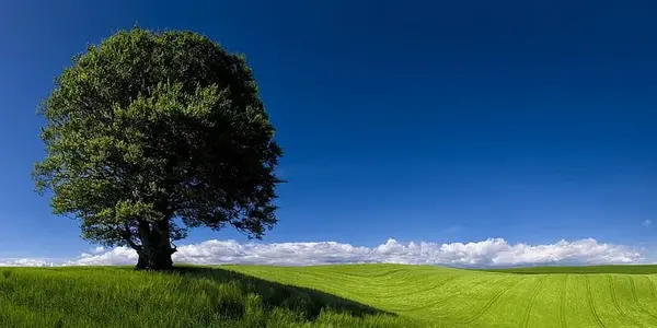 درباره روز طبیعت عکس و متن