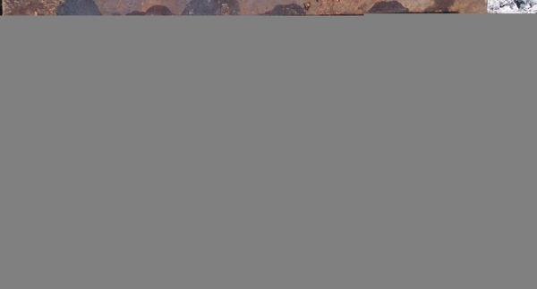سيزده بدر عکس جوجه کباب در طبیعت