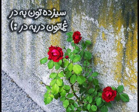 متن و عکس تبریک سیزده بدر
