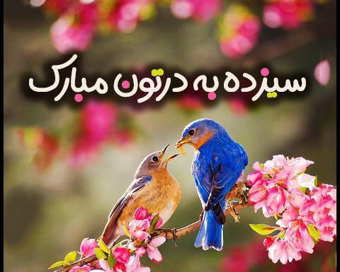 متن زیبا برای عکس سیزده بدر