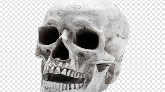 عکس کله اسکلت برای ادیت