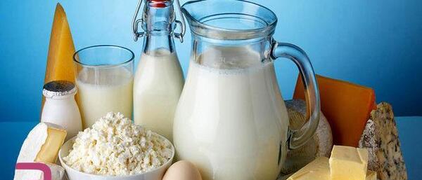 تعبیر خواب عکس شیر