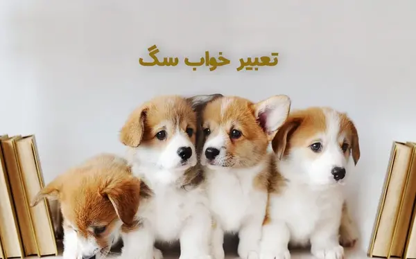 تعبیر خواب عکس شیر